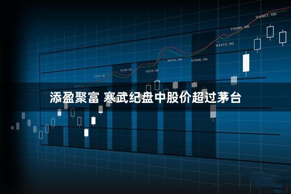 添盈聚富 寒武纪盘中股价超过茅台
