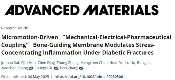 博星配资 糖尿病患者骨折难愈？上海专家研发新型骨引导膜